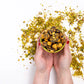 Dark Chocolate Pistachio Cylinder