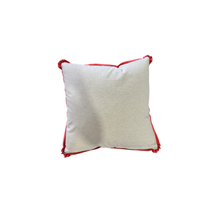 Cheeky Monkey Cantaloupe Pillow