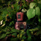 Foraged Wildberry Classic Candle