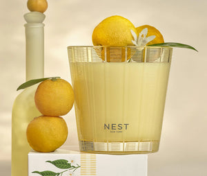 Sunlit Yuzu & Neroli 3 Wick Candle
