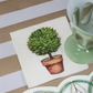 Cocktail Napkin