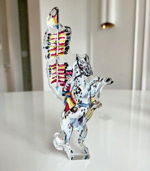 "Florida State Seminoles" Shelfie