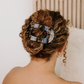 Tortoise Round Large Flat Hair Clip