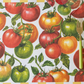 Tomato Vine Placemats