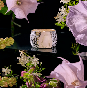 Jasmine Midnight Blooms Miniature Tin