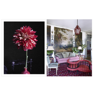 Beige Is Not a Color: The Full-Spectrum World of Carlos Mota