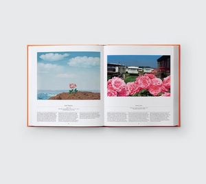 Flower: Exploring the World in Bloom