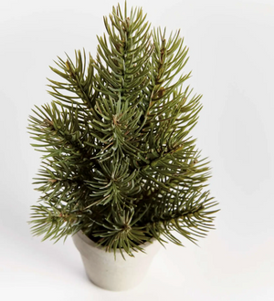 Small potted Christmas tree on a white background