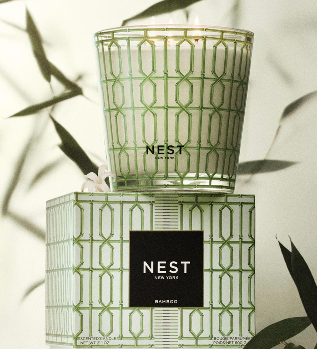 NEST New York candle and packaging with leafy background
