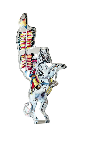 "Florida State Seminoles" Shelfie