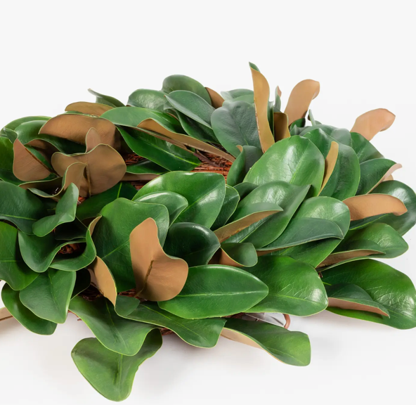 Close-up of a green leafy wreath on a white background