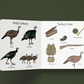 Turkey Season Book