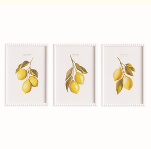 Lemon Cutting Study set of 3