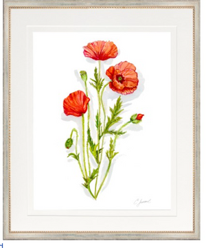 Botanical 7 (Poppy) with Silver 18x22