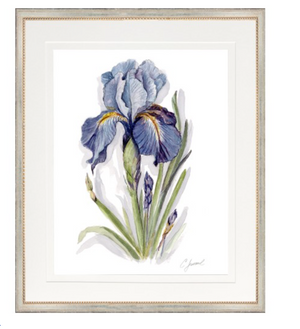 Botanical 10 (IRIS) with Silver 18x22